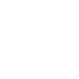 Stone Pizza logo.
